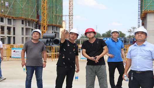 开云足球-开云（中国）
董事会巡检圆满完成